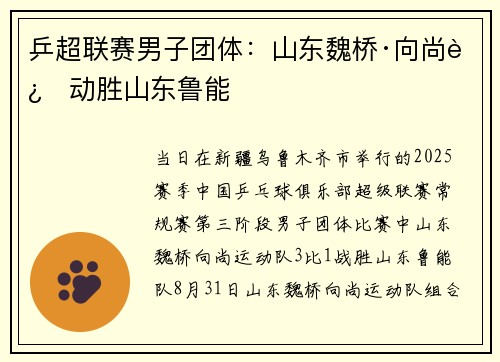 乒超联赛男子团体：山东魏桥·向尚运动胜山东鲁能